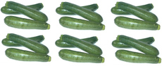 Zucchini-6x3.jpg